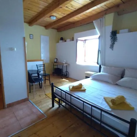 With Terrace Appartement