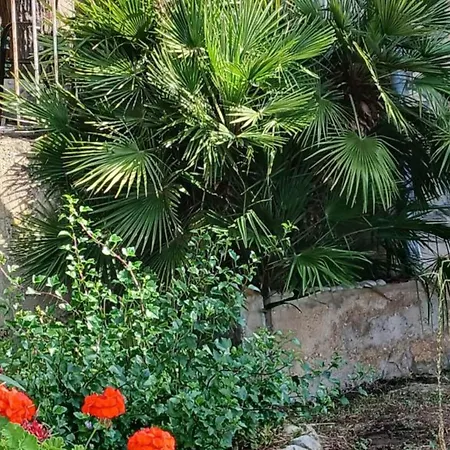 Appartement With Terrace Podstrazje