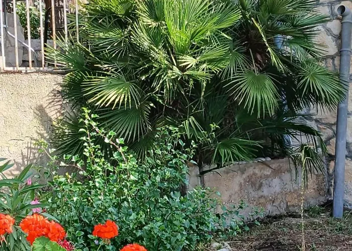 Appartamento With Terrace Vis
