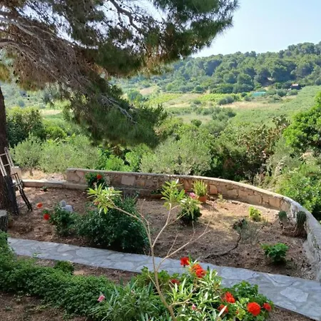 With Terrace Appartamento *